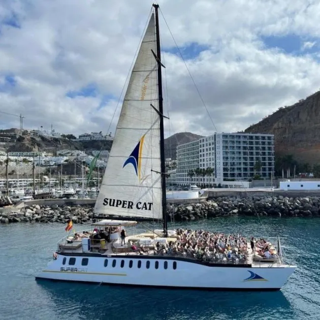 Dolphin Trip Gran Canaria - 2 hours