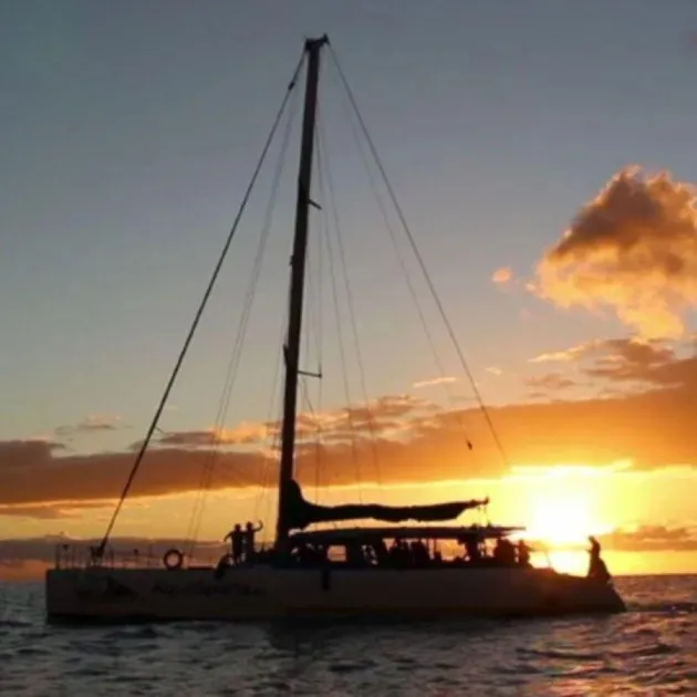 Catamaran Magic 3 + Dolphins (Adults And Children)