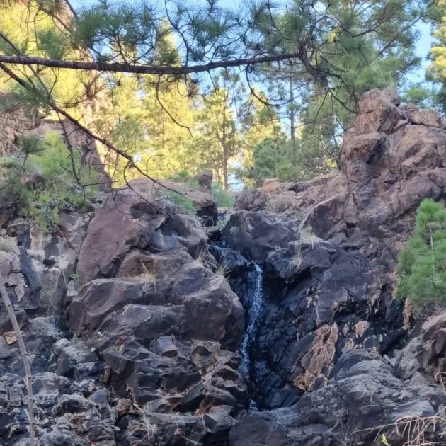 4x4 Jeep Safari Gran Canaria