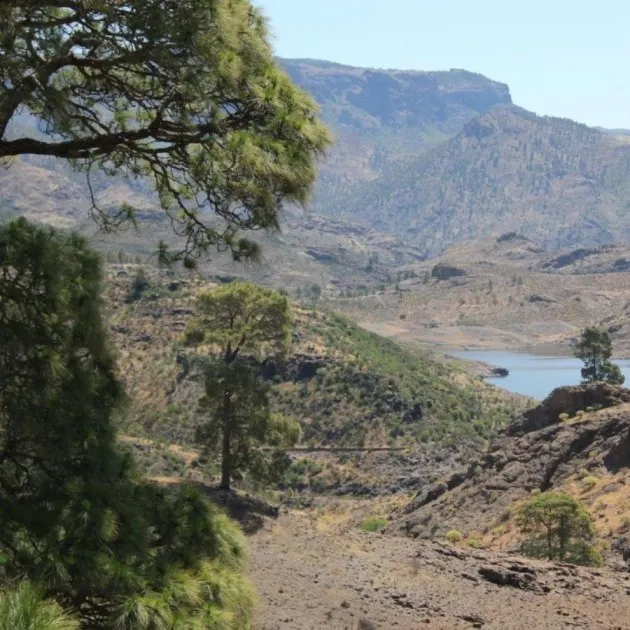 4x4 Jeep Safari Gran Canaria