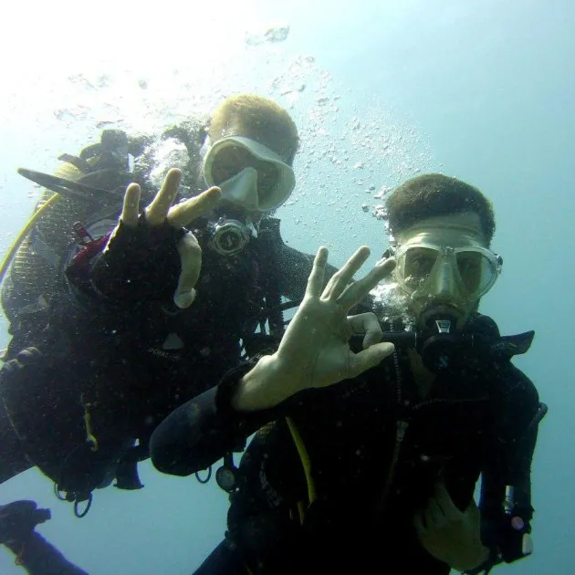 Intro Diving for beginners