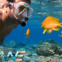 Snorkel Trips in Gran Canaria