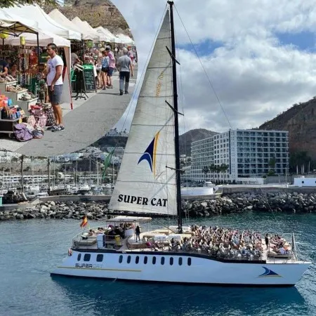 Dolphins And Market 5 Hours