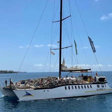 Supercat Dolphins And Premium Coast - 4 Hours