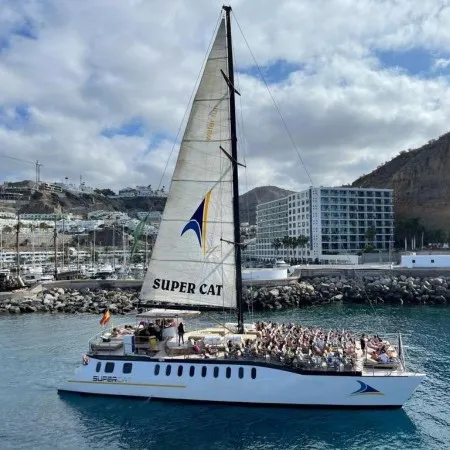 Dolfijnentrip Gran Canaria - 2 Uur