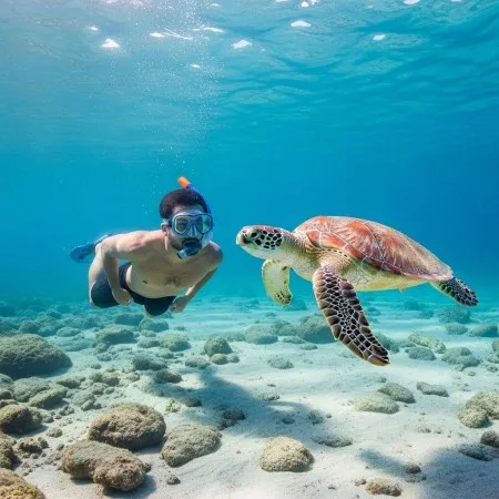 Snorkel Trips In Gran Canaria