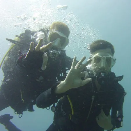 Intro Diving For Beginners