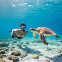 Snorkel Trips In Gran Canaria